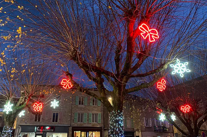 Motifs lumineux led suspendus dans un arbre