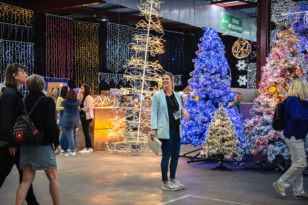 Braderie Festilight Sapins lumineux guirlandes